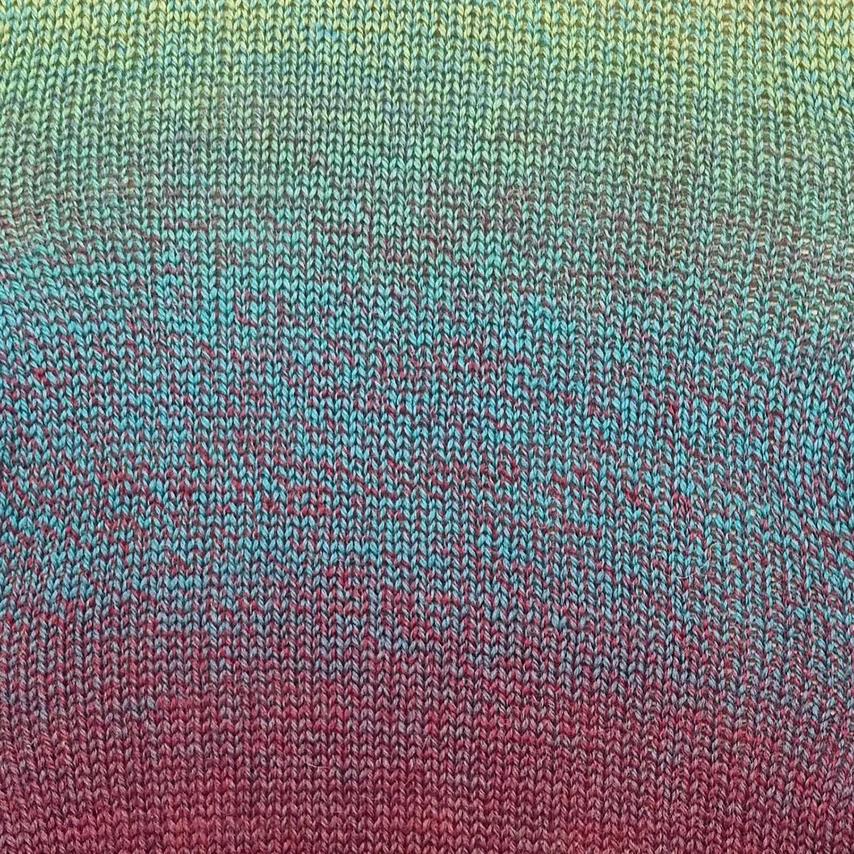 Multicoloured Sock Yarn 4 ply - Image 59