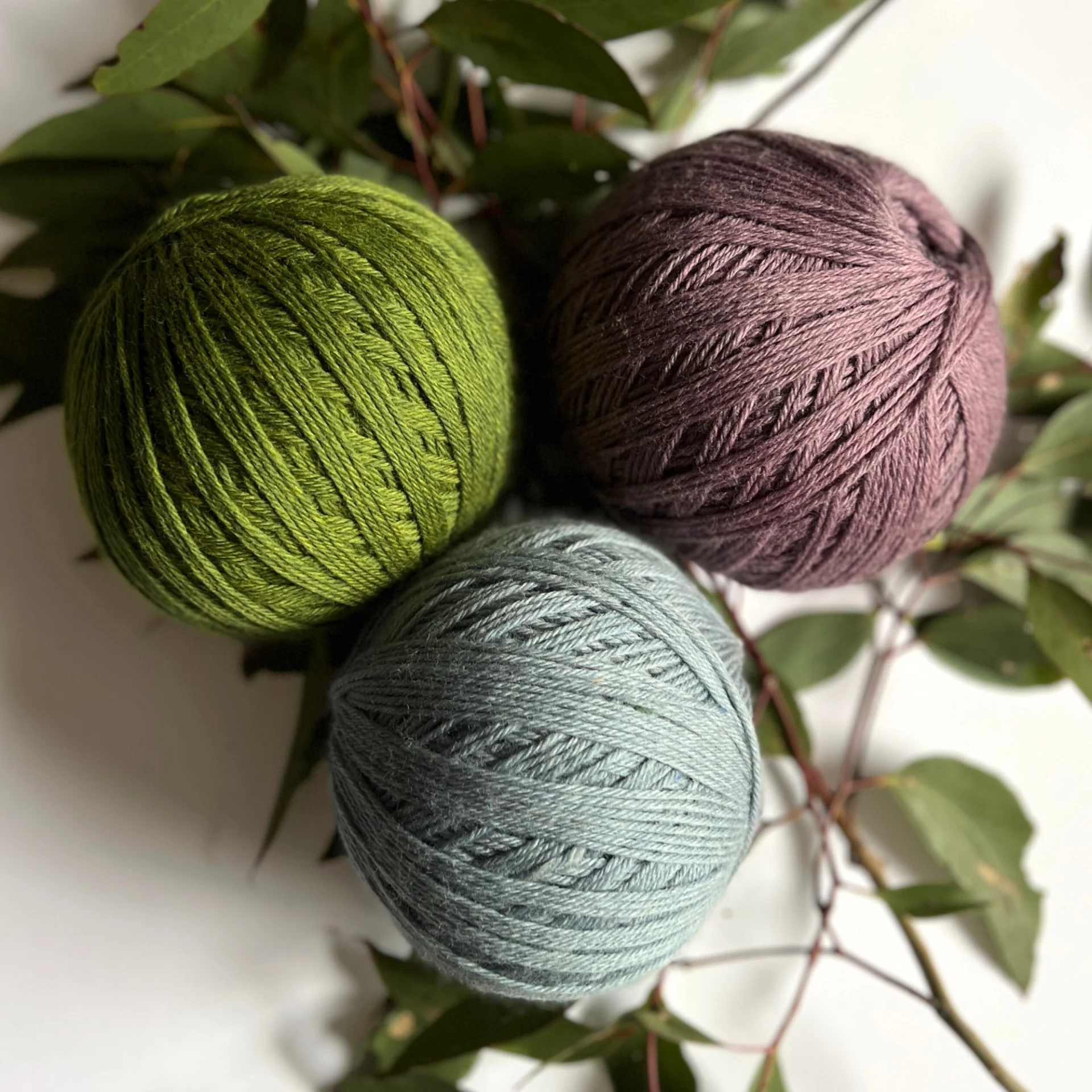 Wollemi 12 ply - Image 10