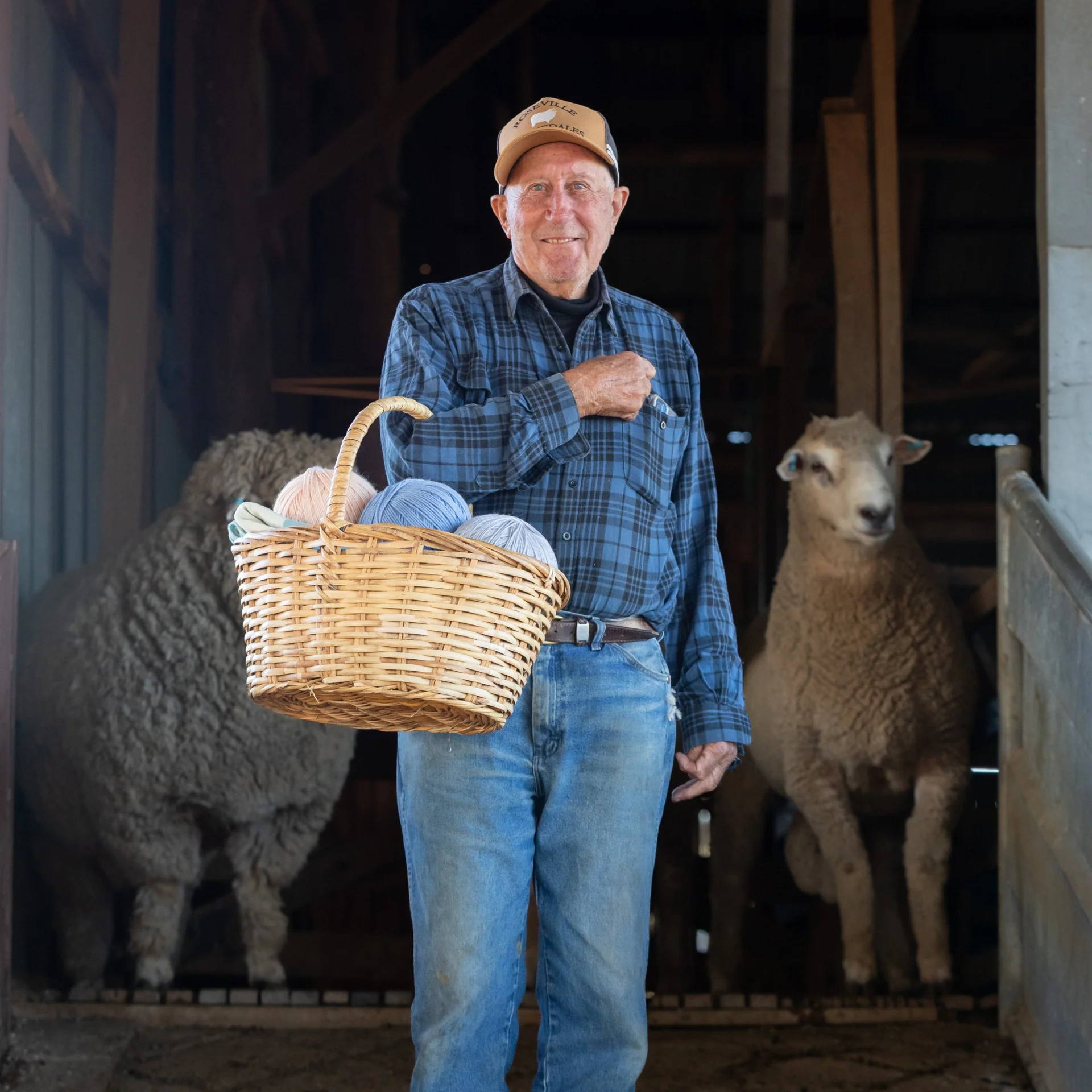 Wollemi 12 ply - Image 5