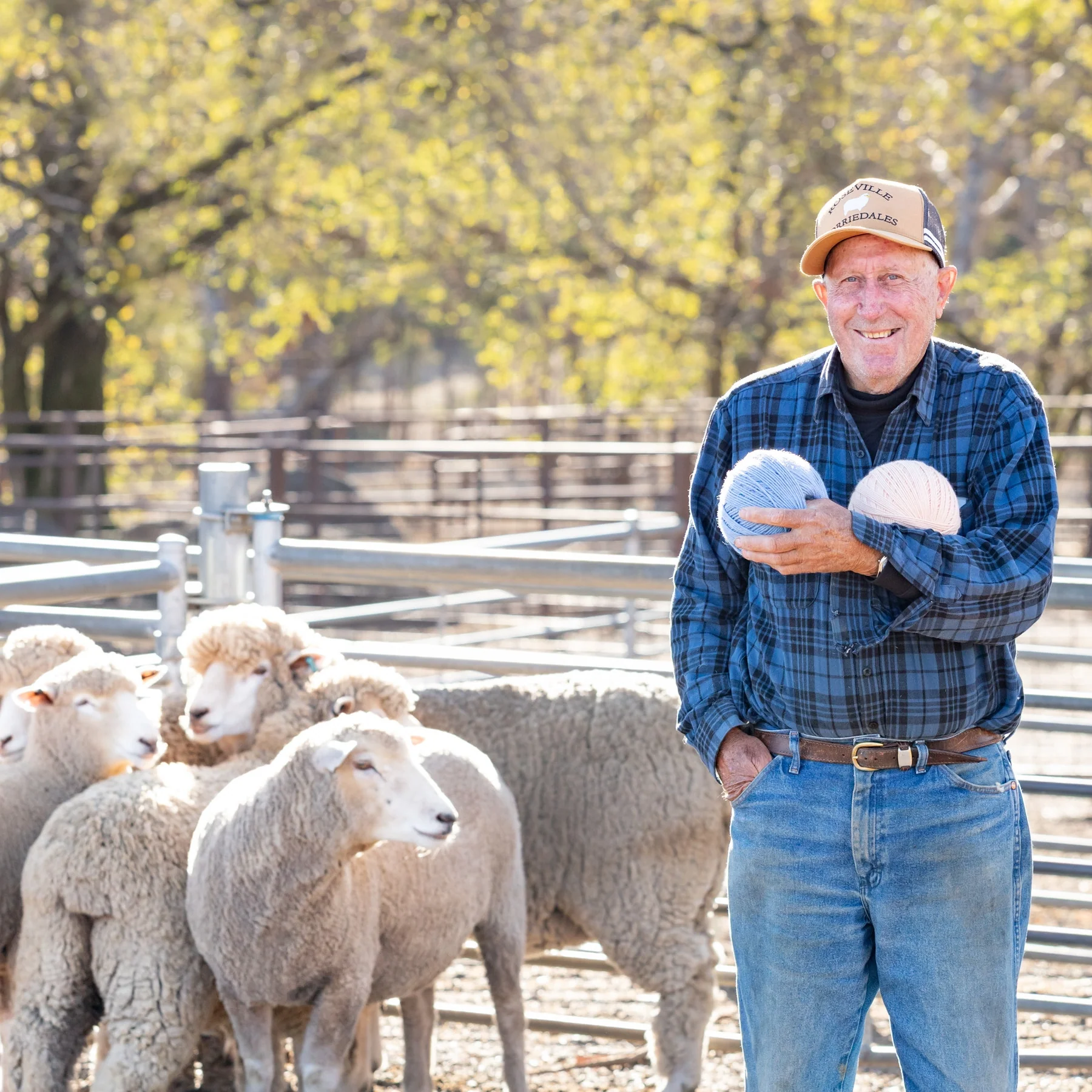 Wollemi 12 ply - Image 9